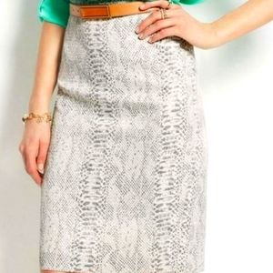 Ann Taylor Skirt